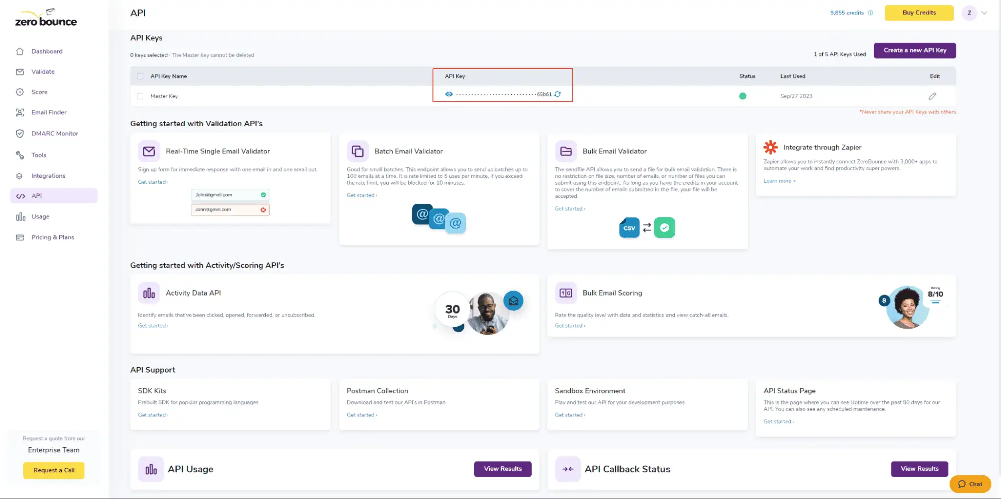 Panel de ZeroBounce, en el que se destaca la clave maestra de API