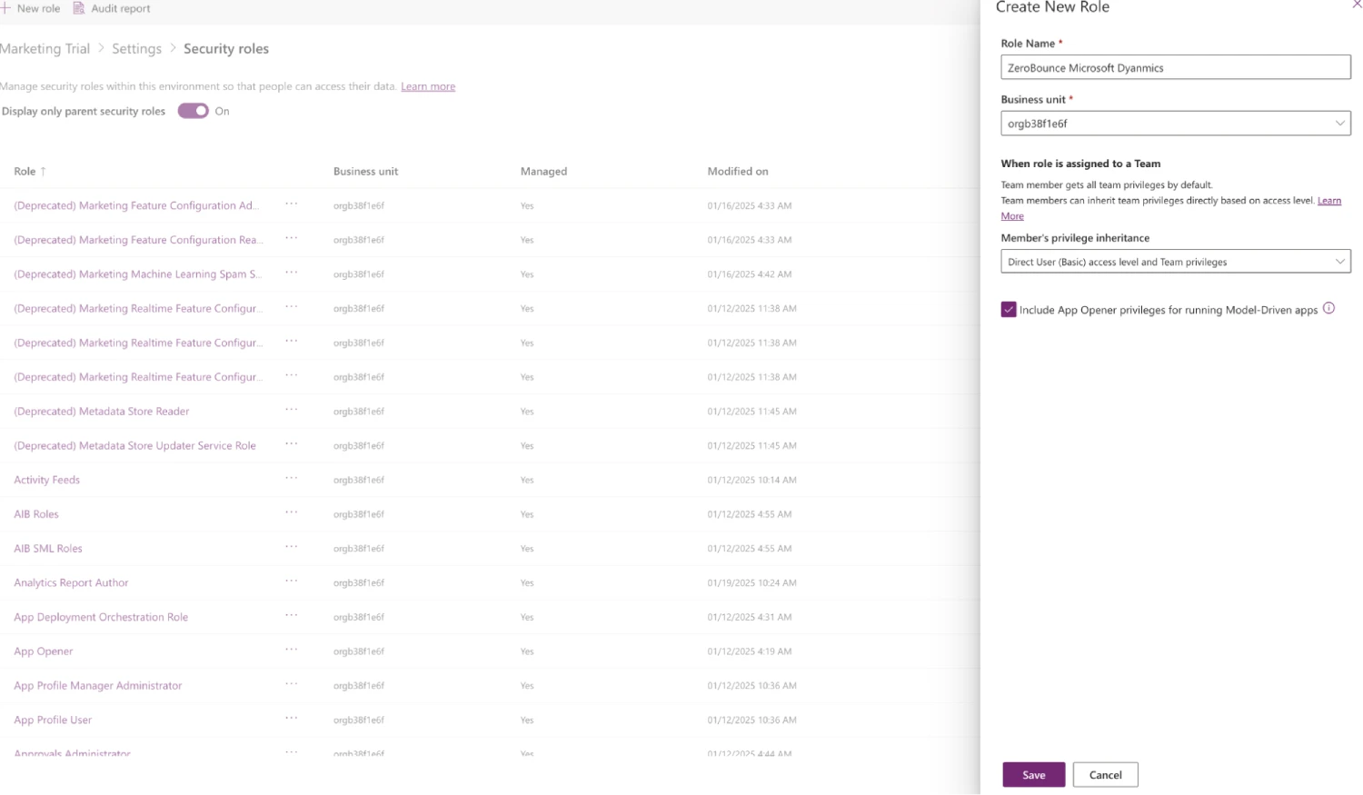 El menú emergente Crear un nuevo rol que se encuentra en Microsoft Dynamics 365.