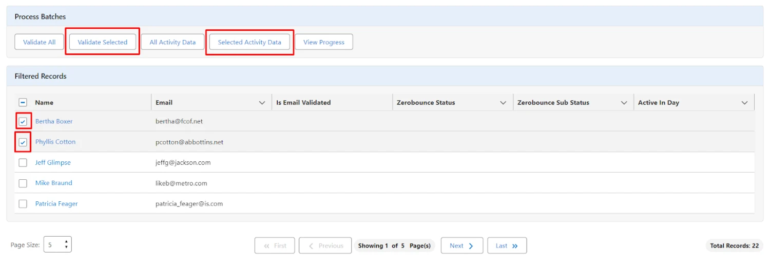 Validar correos electrónicos: seleccione registros, haga clic en 'Validar la selección'
