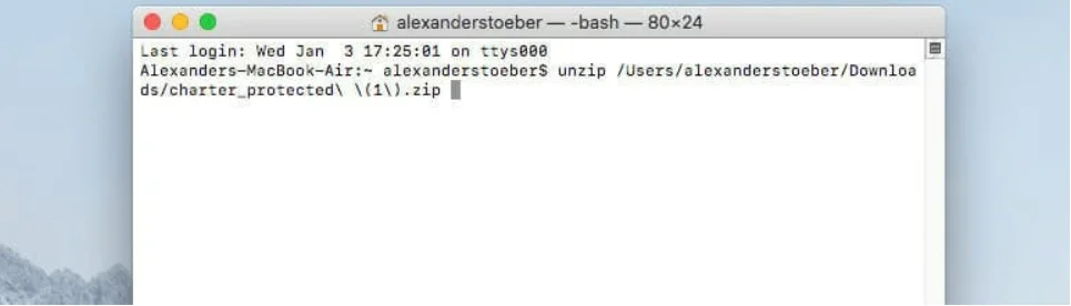 Ventana del Terminal en Mac OS que contiene el archivo de resultados de validación de correo electrónico