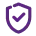 Security Icon