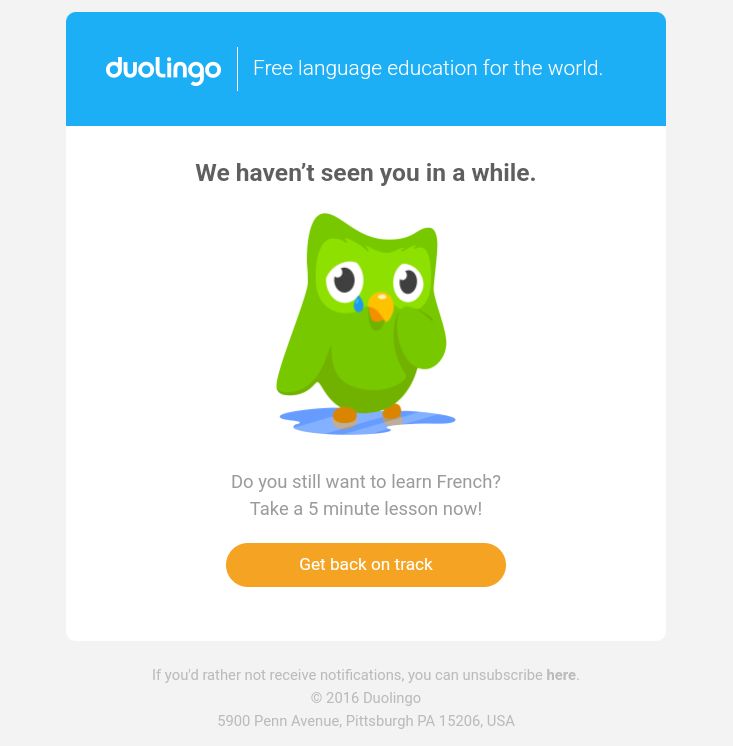 Screenshot of win back email from duolingo shows what you can accomplish with a simple template.
