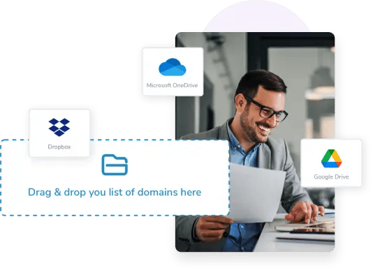 Man entering his list of names and domains into the mass email finder