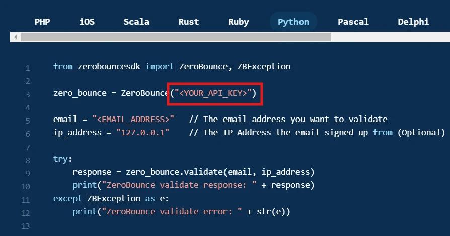 The ZeroBounce single ,[object Object], API with a red square that highlights where to place your API key.