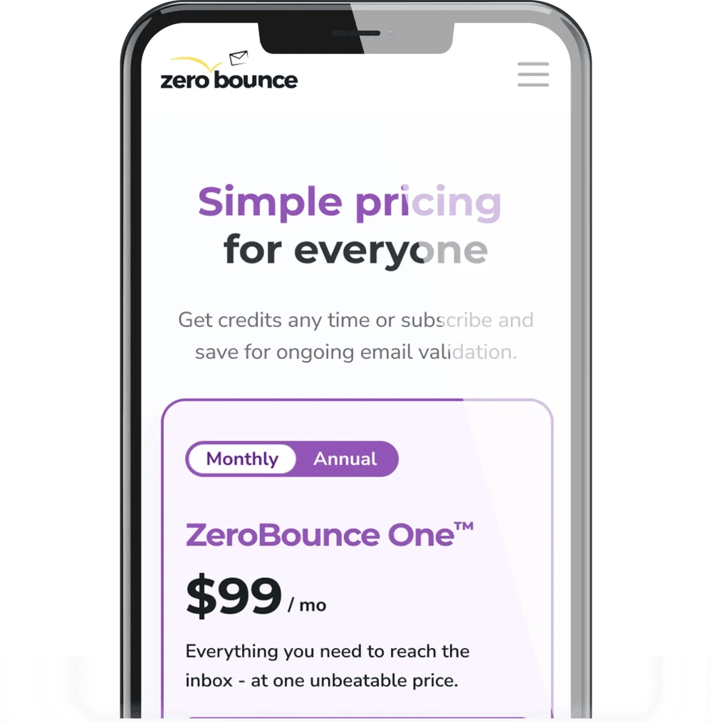 iPhone showing a user updating email validation credits in the ZeroBounce app payment settings