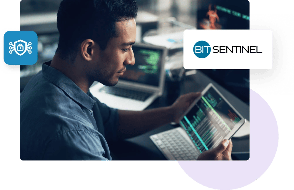 BitSentinel logo, including a researcher performing a penetration test on the ZeroBounce platform
