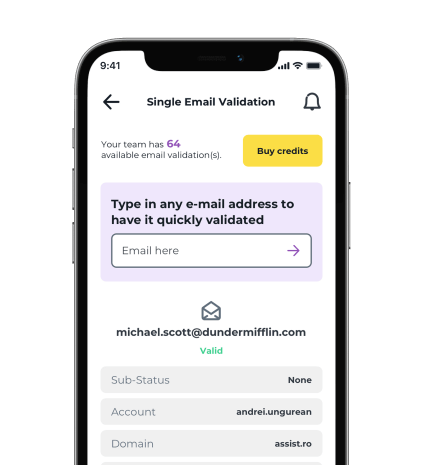 iPhone showing the ZeroBounce app email validation service