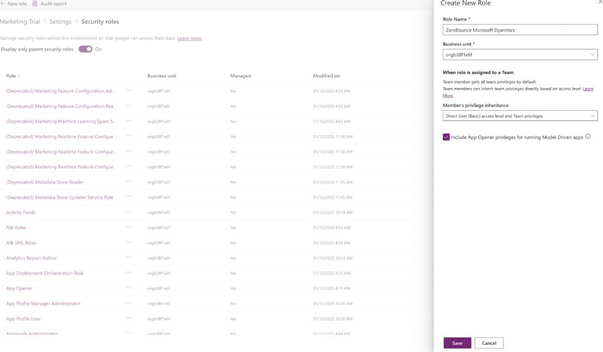 The Create a New Role pop-up menu found within Microsoft Dynamics 365.