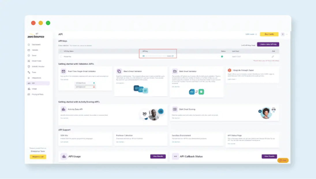 The API menu in ZeroBounce with a red square over the API key