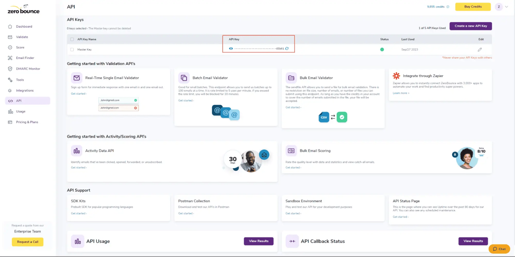 ZeroBounce dashboard with a highlight over the API master key