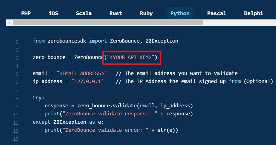 The ZeroBounce single ,[object Object], API with a red square that highlights where to place your API key.