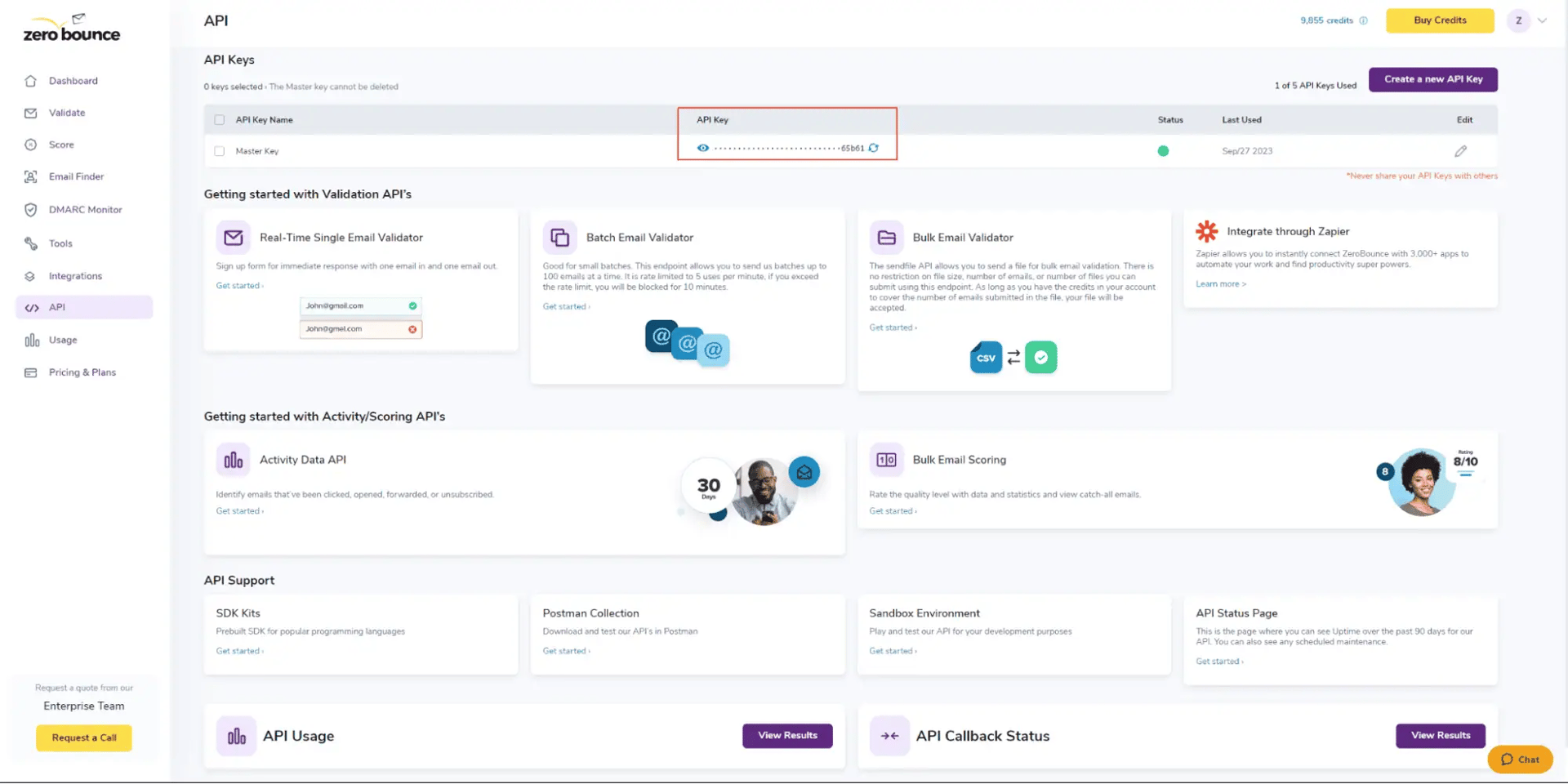 ZeroBounce dashboard with a highlight over the API master key