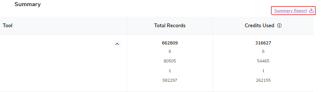 ZeroBounce Usage reports a screenshot highlighting the Summary Report download link in the top-right