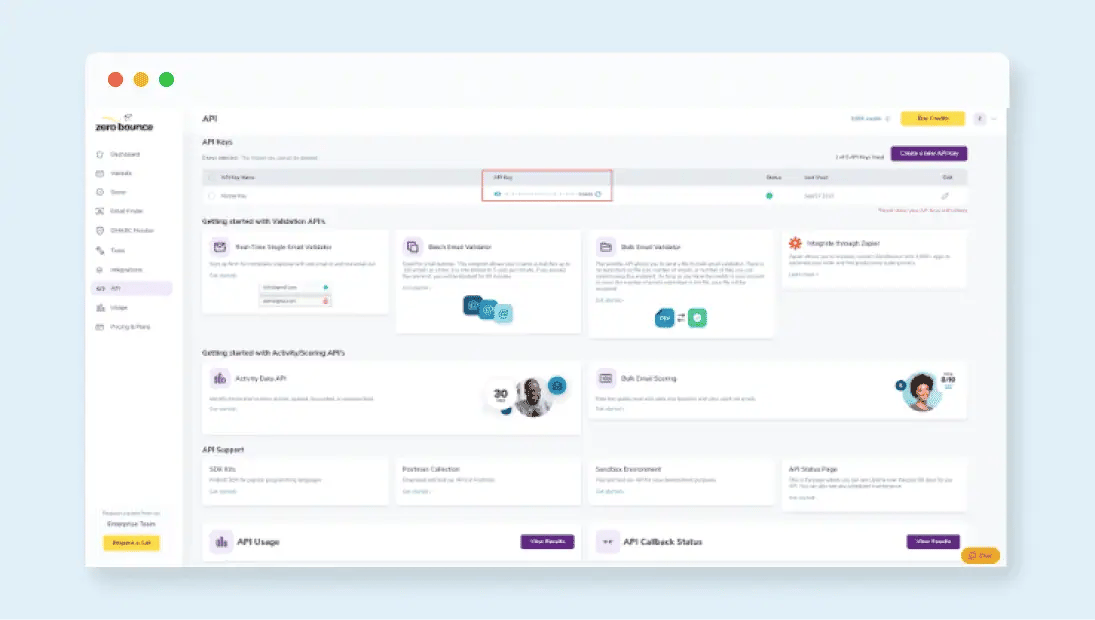 The API menu in ZeroBounce with a red square over the API key