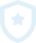 a security shield with a star