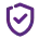 Security Icon