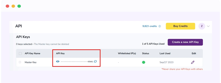 ZeroBounce API key menu with a red box around the master API key