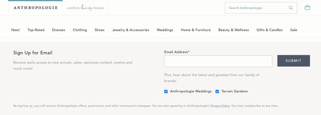 subscribe to newsletter example from anthropologie on light grey background
