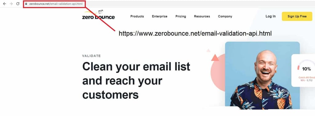 verify email lists showing the url of ZeroBounce's home page. 
