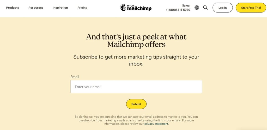 subscribe to marketing tips from mailchimp platform screenshot on yellow background