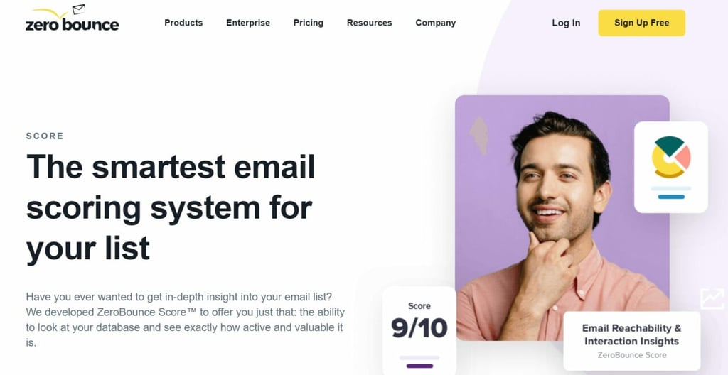Screen shot of email scoring page on ZeroBounce contains element of young man in pink shirt.