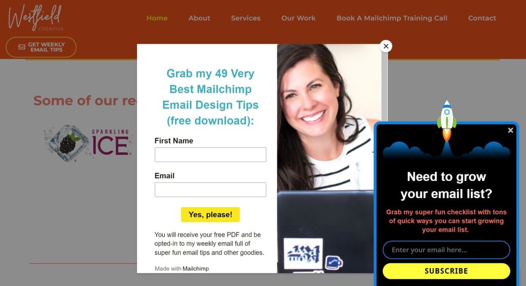 mailchimp pro partner emily ryan offering free ebook download on dark blue background