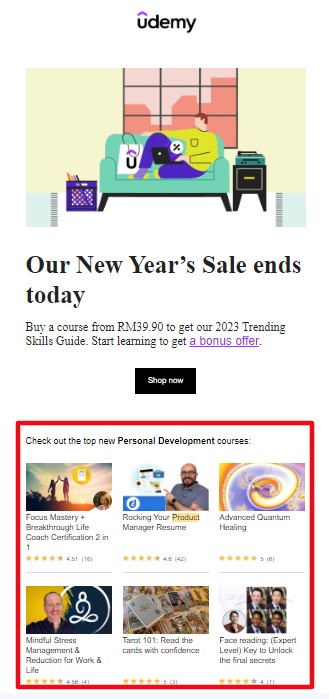 email example from udemy featuring new year sale campaign