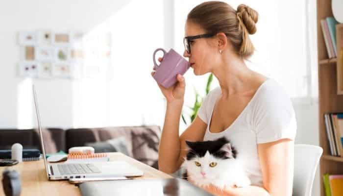 being productive with pets