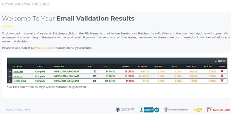 Screenshot shows completed email validation results in the ZeroBounce dashboard to assist with email list cleaning.