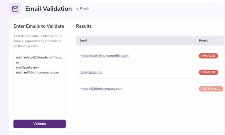 screenshot of the ZeroBounce dashboard showing user experience with purple elements on white background